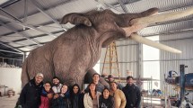Imagen de ¿Un «elefante gigante» en la Patagonia? Habitó la región hace 12.000 años y se podrá ver en el Paleoparque Comallo