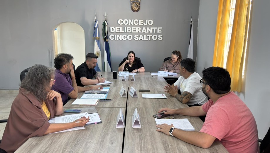 Foto: Concejo Deliberante de Cinco Saltos. 