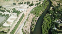Imagen de Sauce exótico y especies invasoras: cómo los drones revolucionan el cuidado de los ríos en Neuquén
