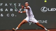 Imagen de Siete argentinos protagonizan los tres torneos ATP 250 de la semana