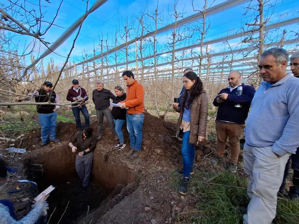 Acciones conjuntas entre Podlesch y Koppert en el Alto Valle en junio 2025.