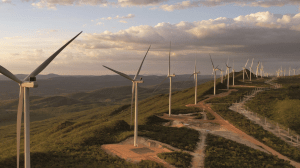 Nuevo logro internacional de PAE: se convierte en un referente del mercado de carbono en Brasil