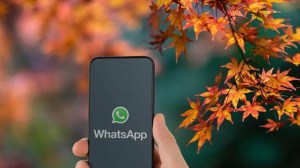 WhatsApp: cómo activar el «Modo Abril» y cambiar el logo al color del otoño hoy mismo