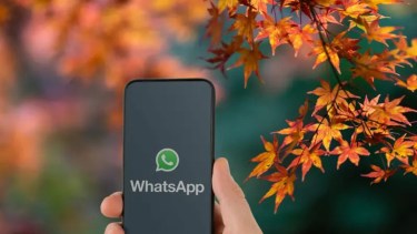 WhatsApp: cómo activar el «Modo Abril» y cambiar el logo al color del otoño hoy mismo