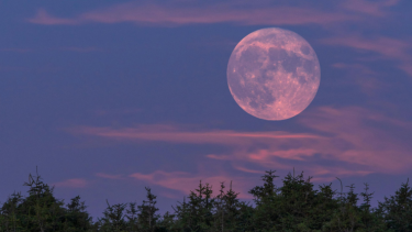 Después de la Luna Rosa: los signos que inician una nueva etapa en abril