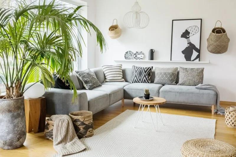Cómo integrar plantas en interiores: el truco simple para transformar ...
