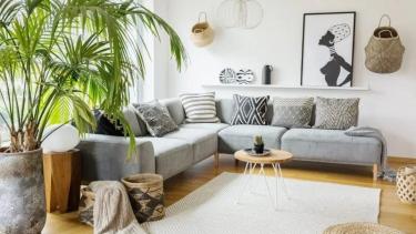 Cómo integrar plantas en interiores: el truco simple para transformar tu casa sin gastar de más