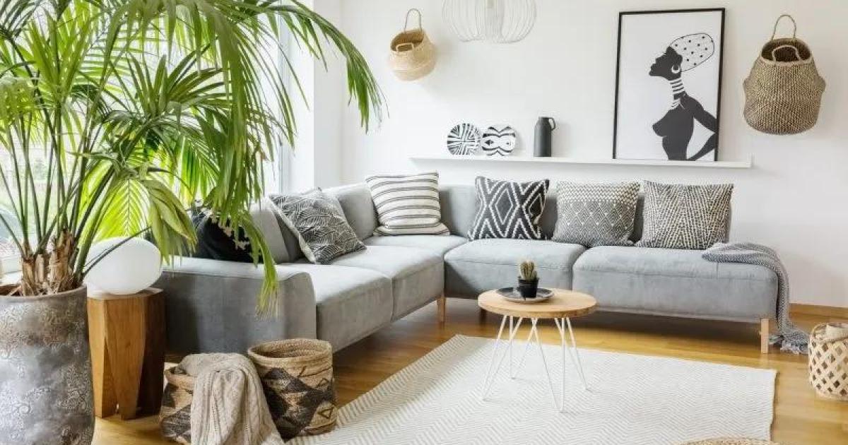 Cómo integrar plantas en interiores: el truco simple para transformar ...