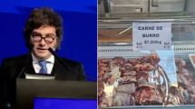 Imagen de La reacción del gobierno de Javier Milei sobre la venta de carne de burro en Chubut: «Operación internacional»