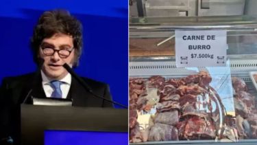 La reacción del gobierno de Javier Milei sobre la venta de carne de burro en Chubut: «Operación internacional»