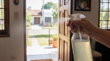 El ritual con sal y vinagre que promete limpiar la energía de tu casa después de recibir visitas