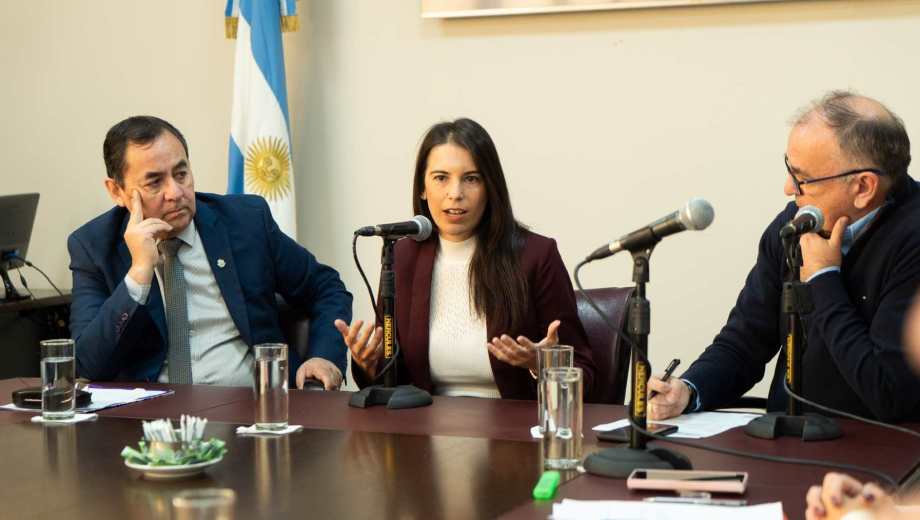 González Schlachet, futura fiscal del caso de Neuquén, pasó por la comisión de Asuntos Constitucionales. (Gentileza)