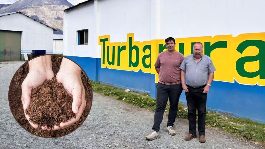 La turba rubia de Carex spp. se obtiene directamente del Mallín y se procesa en la planta de elaboración. Foto: gentileza.