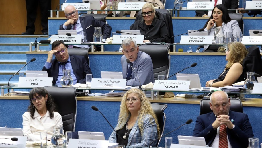 El respaldo de la Legislatura fue por mayoría. Foto: Marcelo Ochoa.