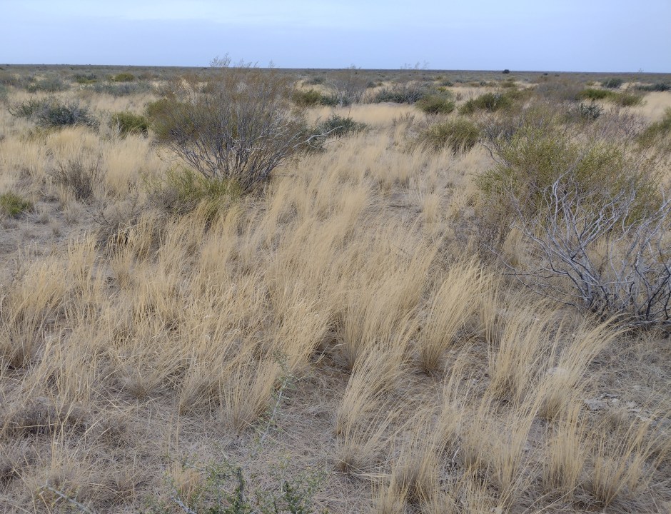 El transporte. El cambio no estuvo en aumentar la carga, sino en modificar el tiempo de uso.