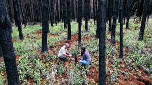 Día del Investigador Científico: el legado de Houssay y el rol de la ciencia de la Patagonia ante los incendios forestales