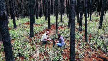Día del Investigador Científico: el legado de Houssay y el rol de la ciencia de la Patagonia ante los incendios forestales