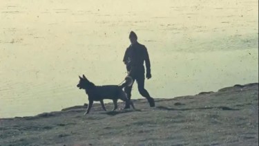 Tom y Mortero: los perros héroes que combatieron en Malvinas y salvaron vidas en las trincheras