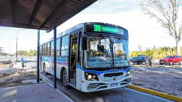 El cumple mes de los colectivos de los distritos en Neuquén capital