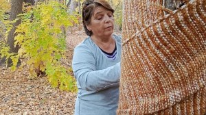 Norma, la tejedora que protege el roble histórico en Fernández Oro con un gesto de cuidado y amor
