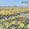 Imagen de 20.000 kilómetros de historias que encontraron su lugar: la sección Rural de Diario RÍO NEGRO