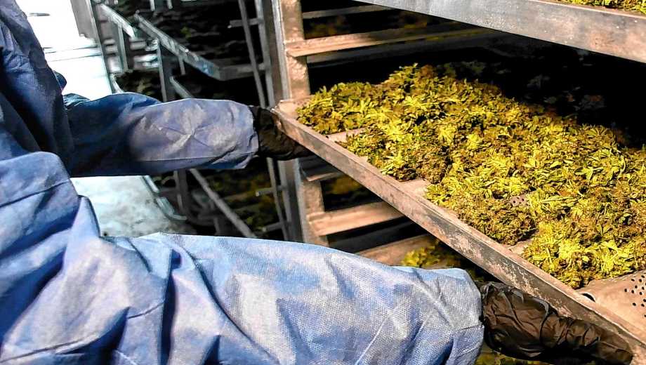 Una instancia para complementar líneas de investigación, desarrollo y trabajo en conjunto. Foto: INTA Alto Valle. 