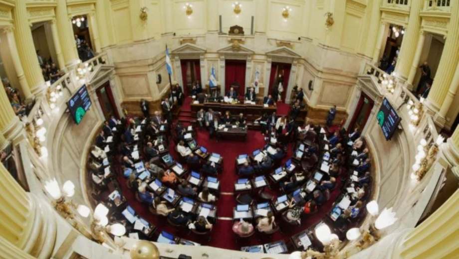 El Senado debate la reforma de la ley de Salud Mental. Foto: Gentileza NA. 