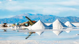 Litio en Argentina: ¿el desafío está en atraer buenas inversiones ?
