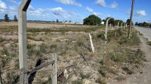 Imagen de La Municipalidad de Viedma ya cuenta con las tierras cedidas por la colonia penal U12