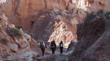 Nutrición de montaña: Centenario comparte las claves para una buena alimentación en trekking y running