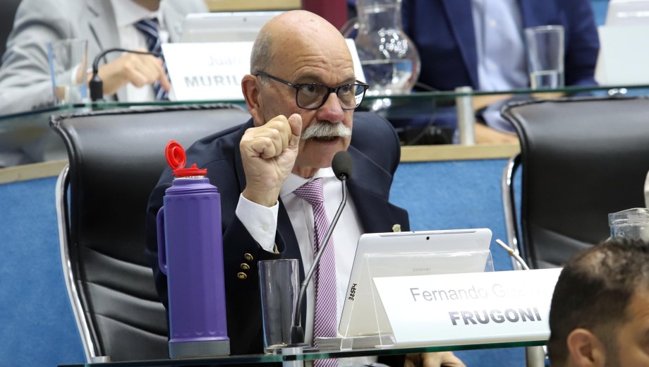 La iniciativa fue presentada por el legislador Fernando Frugoni. Foto: Marcelo ochoa.