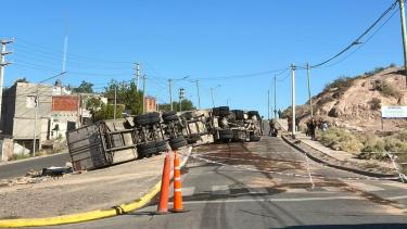 Un camión cargado de pollos volcó en el oeste de Neuquén: qué pasó con la mercadería