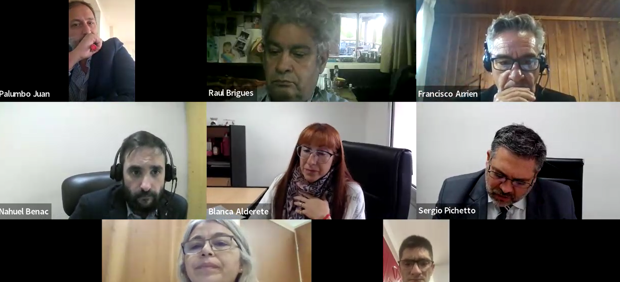 Rechazan probation y envían a juicio oral a empleado municipal por agredir a activista en El Foyel