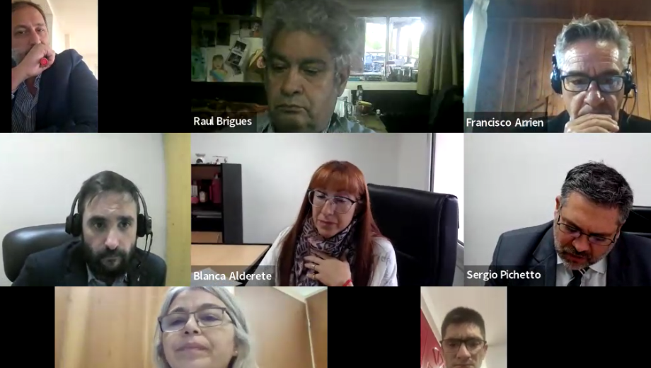 La audiencia se realizó por Zoom este lunes y el juez decidió que siga el curso de juicio oral una causa por amenazas y lesiones en El Bolsón. Imagen captura de pantalla