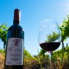 Imagen de En Guardia Mitre el vino no era una bebida: era una forma de organizar la vida