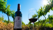 Imagen de En Guardia Mitre el vino no era una bebida: era una forma de organizar la vida
