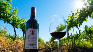 En Guardia Mitre el vino no era una bebida: era una forma de organizar la vida