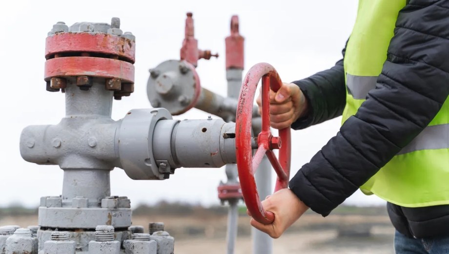 Representantes de gobiernos, empresas y organismos regionales participaron en São Paulo del encuentro sobre integración gasífera impulsado por OLACDE y CAF, donde se presentaron diez corredores estratégicos para consolidar un mercado regional de gas natural. Foto gentileza.