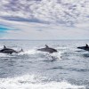 Imagen de Una imagen tomada en la costa de Río Negro ganó un concurso nacional y ahora recorrerá el país