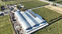 Imagen de Abren convocatoria en Río Negro para que empresas mejoren su producción y reduzcan el gasto energético