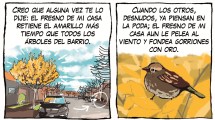 Imagen de «El terco fresno de mi casa y yo», la tira de Chelo Candia en el suple Viajes y Turismo