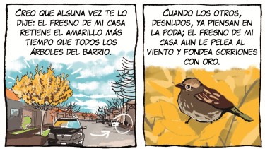 «El terco fresno de mi casa y yo», la tira de Chelo Candia en el suple Viajes y Turismo