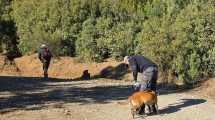 Imagen de No hay pista firme del paradero de Ana Lía Corte en Bariloche y peritan su celular