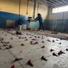 Imagen de Cipolletti licitará en junio un nuevo gimnasio de fuerza en el Complejo Deportivo Municipal