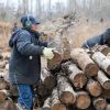 Imagen de Plan Calor 2026 en Neuquén: asistencia clave para miles de familias sin red de gas natural
