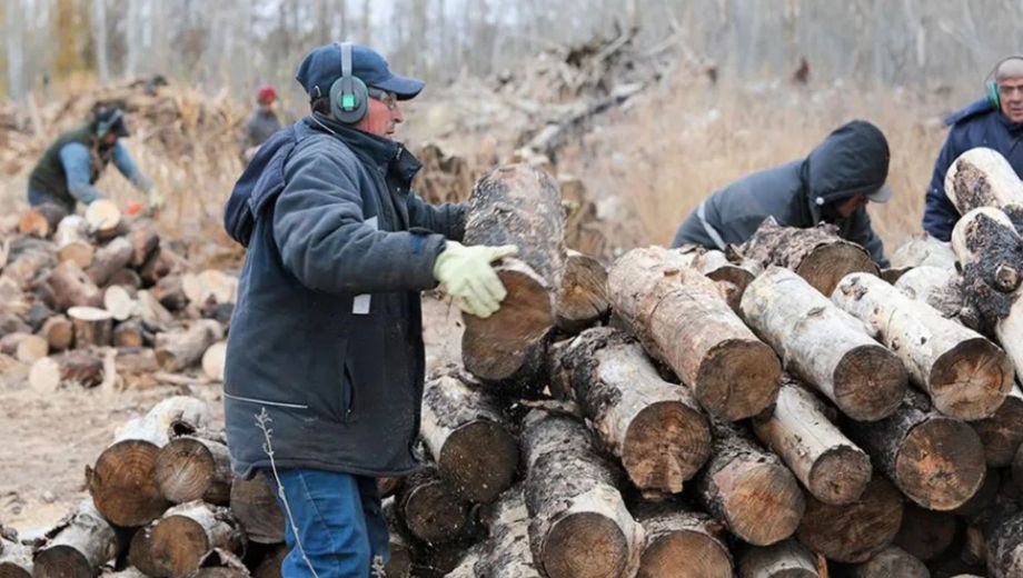 El Plan Calor trabajará en cooperación con la empresa estatal Corfone S.A. para la logística y distribución de 60 mil metros cúbicos de leña en la región cordillerana y precordillerana (Foto: Prensa y Comunicación de Neuquén)