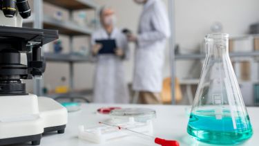 Los proyectos de economía azul en Argentina logran escasa vinculación con el sector productivo