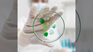 Por qué la resistencia a los antibióticos desafía al mundo