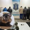 Imagen de Megaoperativo antinarco en Mar del Plata: encontraron drogas, armas, dólares y monos capuchinos tras realizar 30 allanamientos