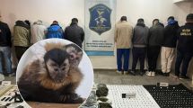 Imagen de Megaoperativo antinarco en Mar del Plata: encontraron drogas, armas, dólares y monos capuchinos tras realizar 30 allanamientos